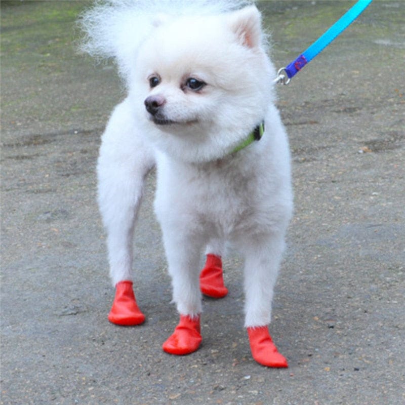 GeckoCustom 4Pcs Pet WaterProof Rain Shoes