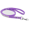 Purple leash