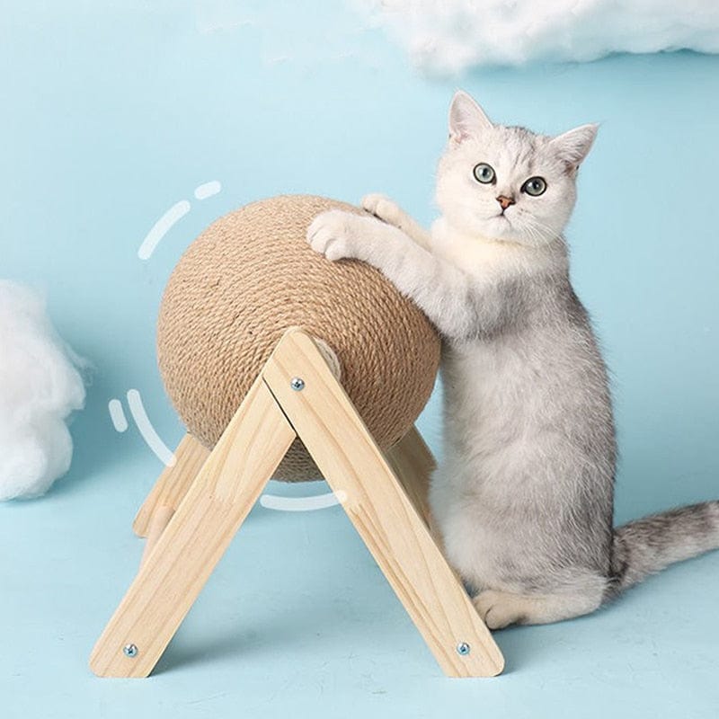 GeckoCustom Cat Scratching Ball Toy