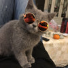 GeckoCustom Cool Funny The Kitten Sunglasses