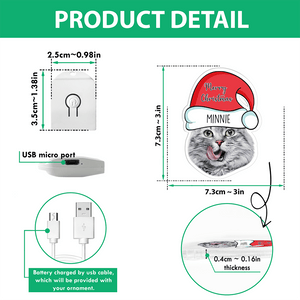 GeckoCustom Custom Cat Face Photo With Santa Hat Christmas Acrylic LED Ornament TH10 892147 3 inches