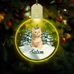 GeckoCustom Custom Cat Photo and Name Led Acrylic Ornament - Perfect Gift For Cat Lovers HA75 891851 3 inches