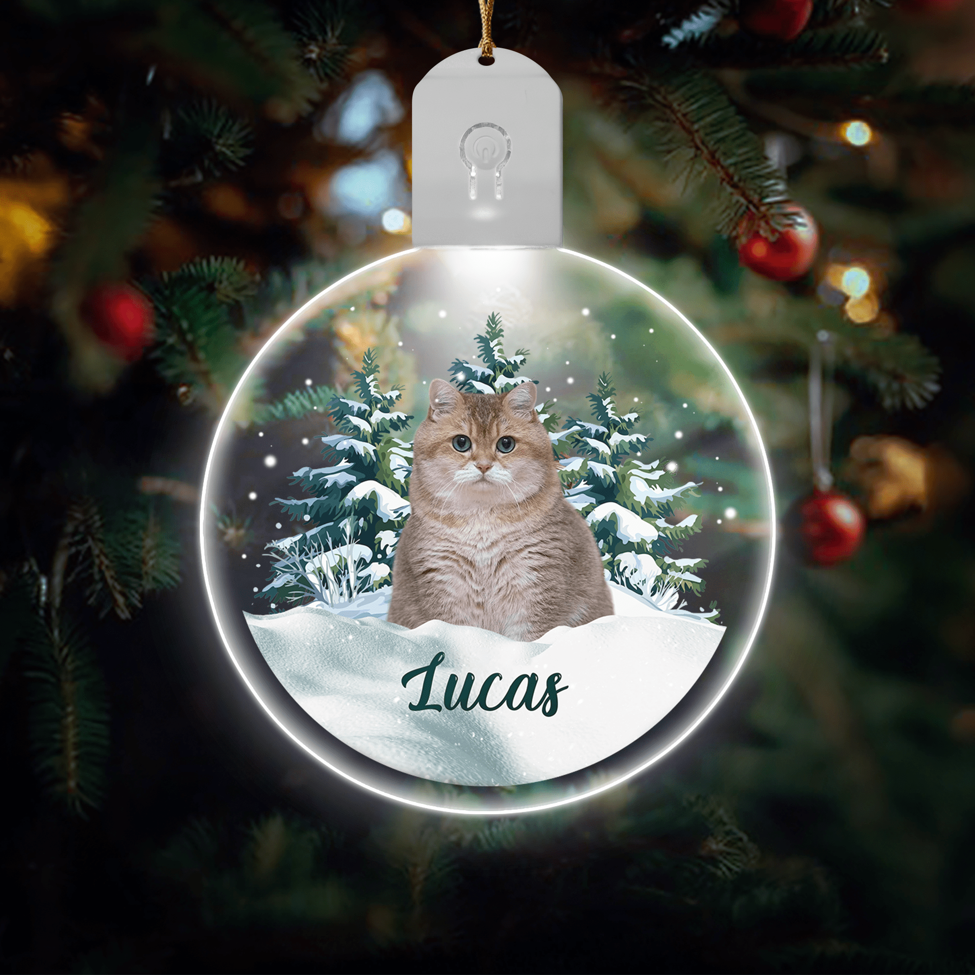 GeckoCustom Custom Cat Photo and Name Led Acrylic Ornament - Perfect Gift For Cat Lovers HA75 891851 3 inches