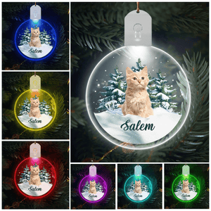 GeckoCustom Custom Cat Photo and Name Led Acrylic Ornament - Perfect Gift For Cat Lovers HA75 891851 3 inches