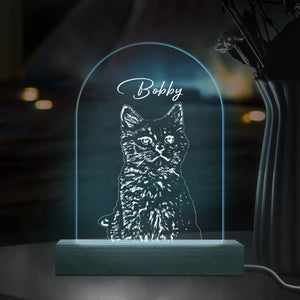 GeckoCustom Custom Cat Photo Pencil Drawing With Name For Cat Lovers Acrylic Plaque LED Night Light LM32 893031 Acrylic / 7.9"x4.5"