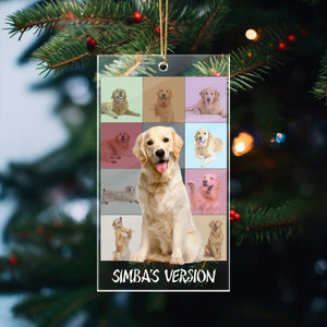 GeckoCustom Custom Dog And Cat Photo Eras Tour Style Christmas Ornament TH10 892039