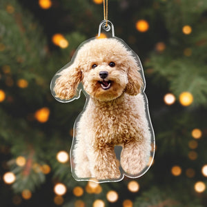 GeckoCustom Custom Dog Photo Acrylic Ornament N304 889891