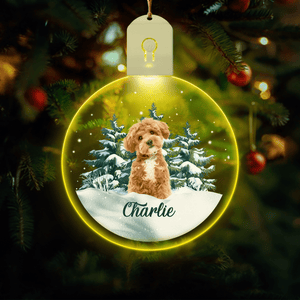 GeckoCustom Custom Dog Photo and Name Led Acrylic Ornament For Dog Lovers HA75 891849 3 inches