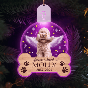 GeckoCustom Custom Dog Photo Christmas Gift Memorial Circle Led Acrylic Ornament HO82 893254 3 inches