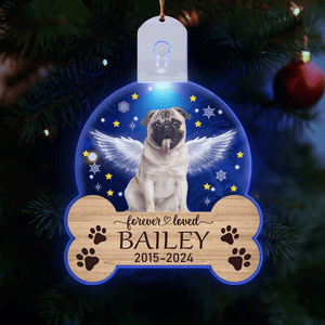 GeckoCustom Custom Dog Photo Christmas Gift Memorial Circle Led Acrylic Ornament HO82 893254 3 inches