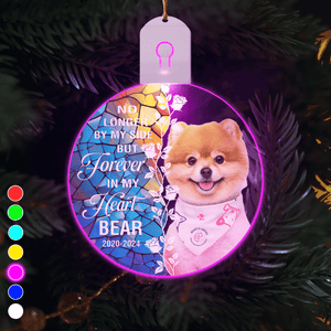 GeckoCustom Custom Dog Photo Forever In My Heart Circle Led Acrylic Ornament HO82 893264 3 inches