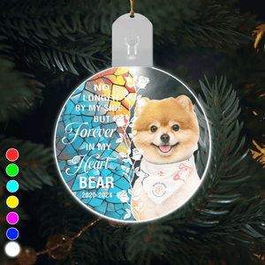 GeckoCustom Custom Dog Photo Forever In My Heart Circle Led Acrylic Ornament HO82 893264 3 inches