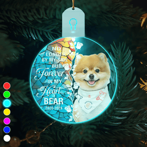 GeckoCustom Custom Dog Photo Forever In My Heart Circle Led Acrylic Ornament HO82 893264 3 inches