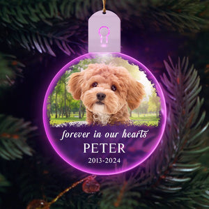 GeckoCustom Custom Dog Photo Forever in Our Heart Memorial Circle Led Acrylic Ornament HO82 893216 3 inches