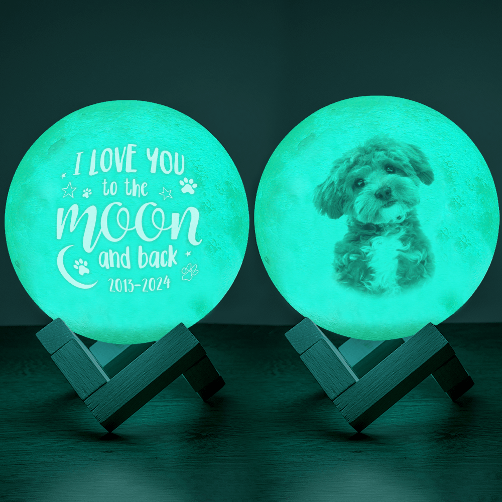 GeckoCustom Custom Dog Photo I Love You To The Moon And Back Memorial Moon Lamp TH10 892419