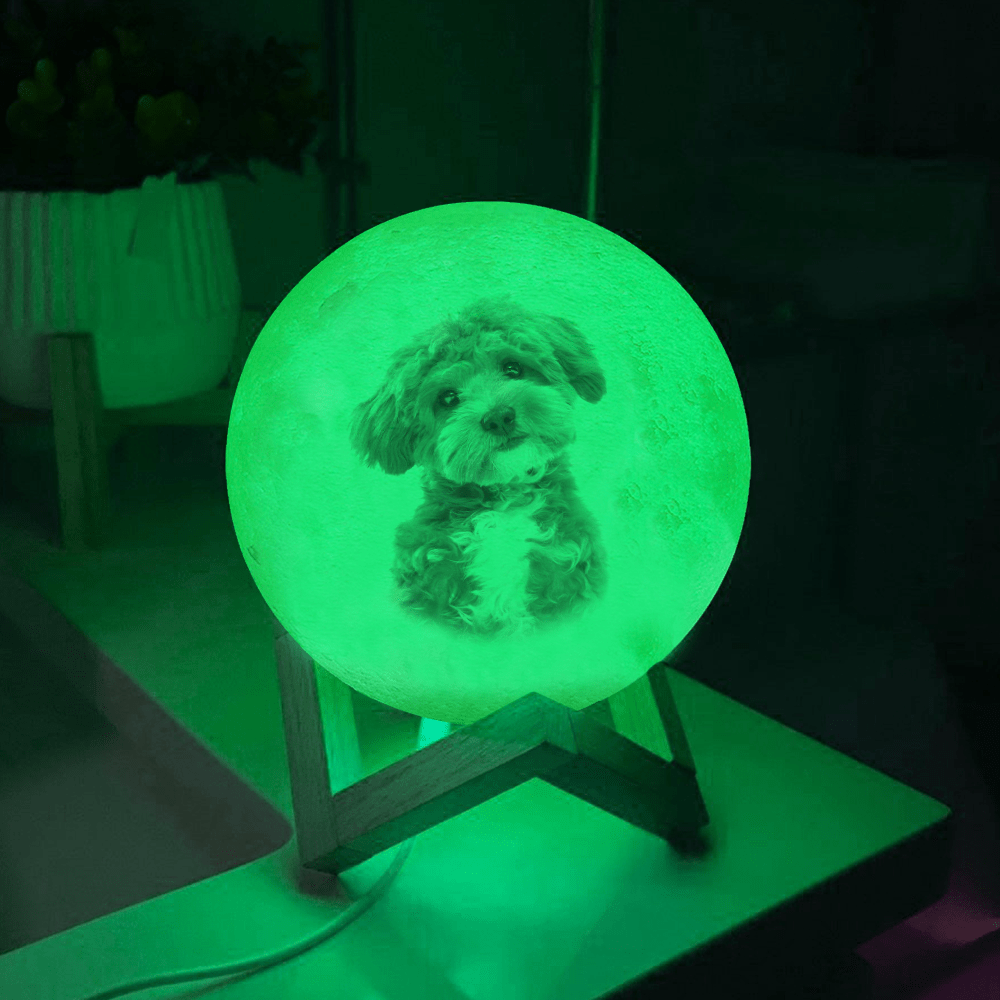 GeckoCustom Custom Dog Photo I Love You To The Moon And Back Memorial Moon Lamp TH10 892419