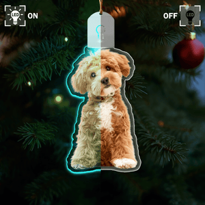 GeckoCustom Custom Dog Photo Led Acrylic Ornament N304 HA75 891680 3 inches