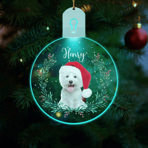 GeckoCustom Custom Dog Photo Wishing You A Christmas Filled With Wagging Tails And Wet Noses Led Acrylic Ornament HA75 891843 3 inches