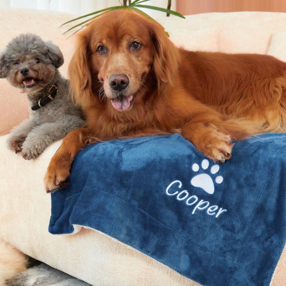 Pet Supplies Personalized Dog Blanket With Name Custom Pet