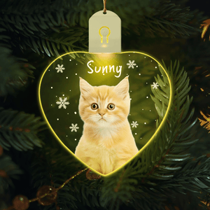 GeckoCustom Custom Photo Cat Christmas Led Acrylic Ornament Christmas Gift For Cat Lovers HA75 891730 3in