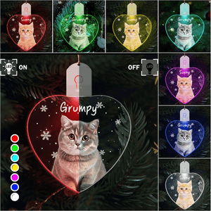 GeckoCustom Custom Photo Cat Christmas Led Acrylic Ornament Christmas Gift For Cat Lovers HA75 891730 3in