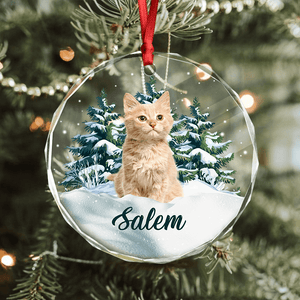 GeckoCustom Custom Photo Cat Glass Ornament Christmas Gift For Cat Lovers HA75 891624 8 cm