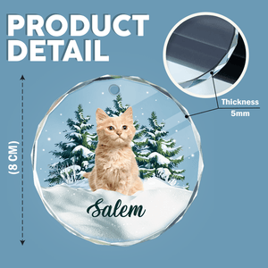 GeckoCustom Custom Photo Cat Glass Ornament Christmas Gift For Cat Lovers HA75 891624 8 cm