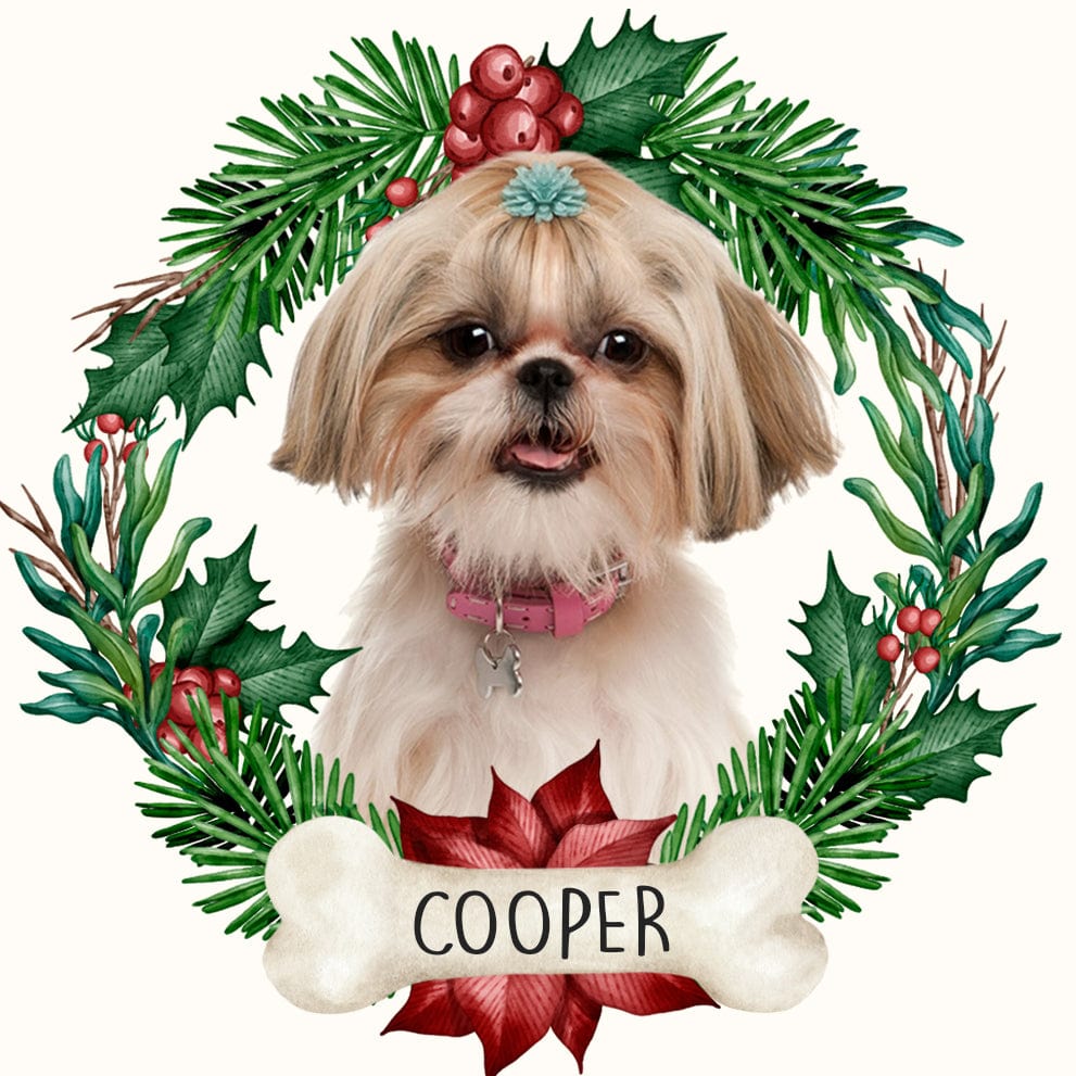 GeckoCustom Custom Photo Dog And Cat Ceramic Ornament For Christmas N304 889847