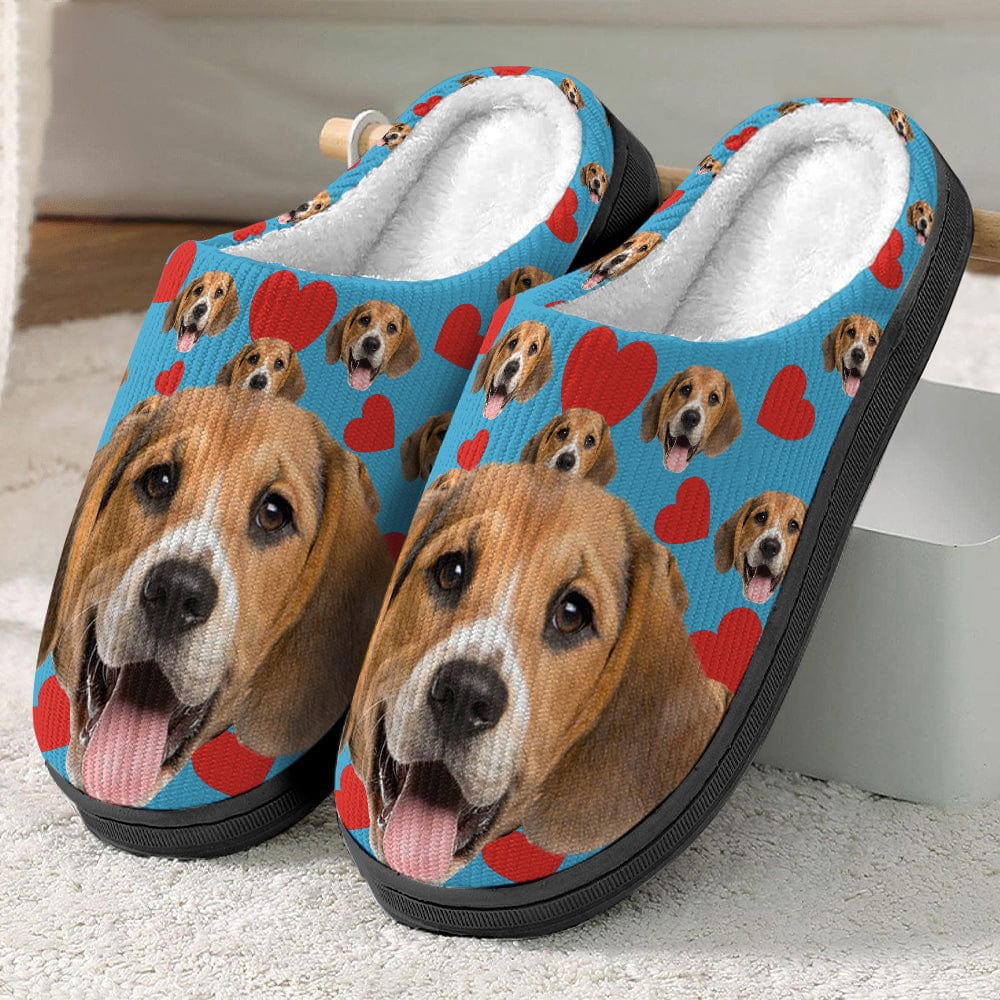 Custom Photo Dog Cat And Accessories Slipper N369 888783