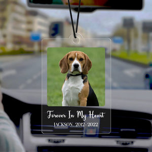 GeckoCustom Custom Photo Dog, Cat Forever In My Heart Memorial Car Hanging Ornament N304 HA75 891444