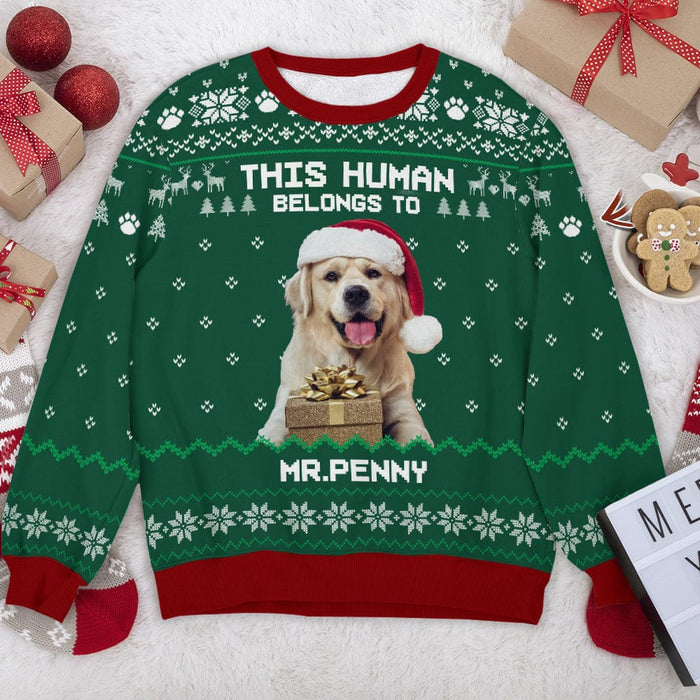 GeckoCustom Custom Photo Dog Cat Merry Christmas Ya Filthy Animal AOP Sweatshirt T368 HN590