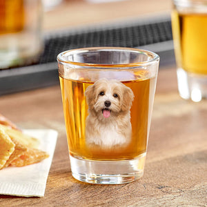 GeckoCustom Custom Photo Dog, Cat Print Shot Glass HA75 891774 1.5oz