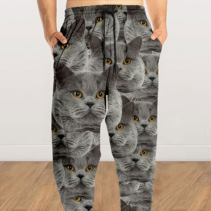 GeckoCustom Custom Photo Dog Cat Sweatpants For Men and Women's N304 888950