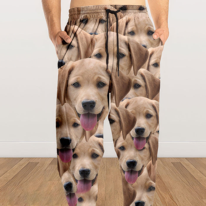 GeckoCustom Custom Photo Dog Cat Sweatpants For Men and Women's N304 888950