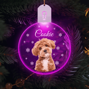 GeckoCustom Custom Photo Dog Circle Led Acrylic Ornament Christmas Gift For Dog Lovers HA75 891652 3in