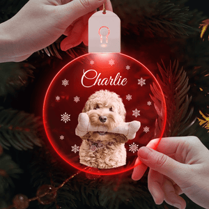 GeckoCustom Custom Photo Dog Circle Led Acrylic Ornament Christmas Gift For Dog Lovers HA75 891652 3in