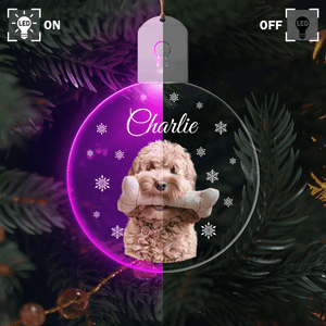 GeckoCustom Custom Photo Dog Circle Led Acrylic Ornament Christmas Gift For Dog Lovers HA75 891652 3in