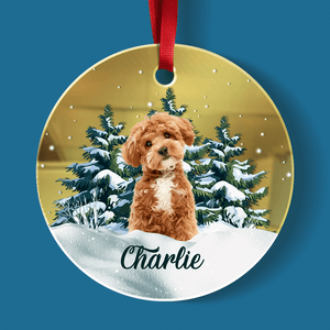 GeckoCustom Custom Photo Dog Mirror Ornament For Christmas HA75 891883