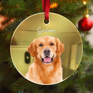 GeckoCustom Custom Photo Dog Mirrored Acrylic Ornament For Christmas HA75 891638