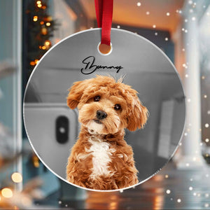 GeckoCustom Custom Photo Dog Mirrored Acrylic Ornament For Christmas HA75 891638