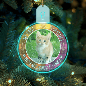 GeckoCustom Custom Photo First Christmas Pet Lovers Circle Led Acrylic Ornament HO82 893306 3 inches