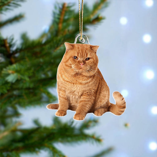 GeckoCustom Custom Photo For Cat Lover Acrylic Ornament Christmas N304 889893