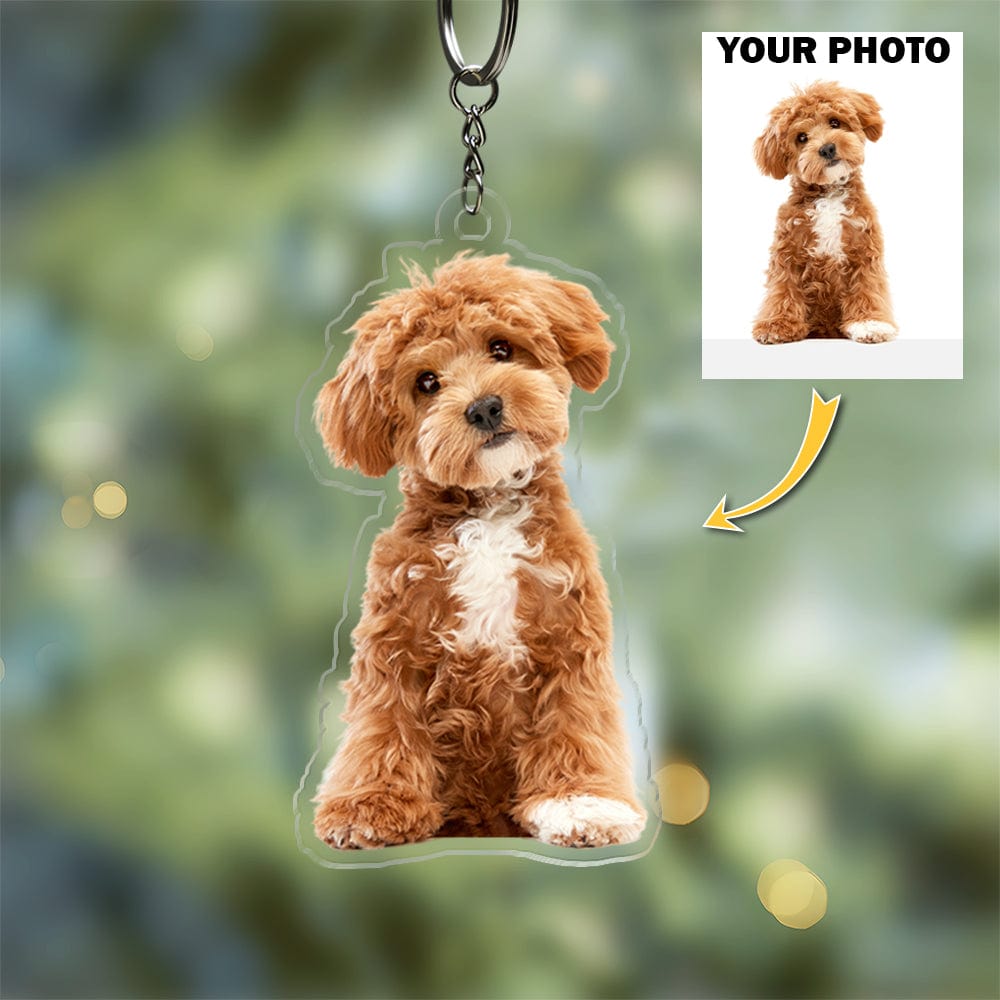 GeckoCustom Custom Photo For Dog Cat Lover Acrylic Keychain TH10 892309 60mmW x 40mmH