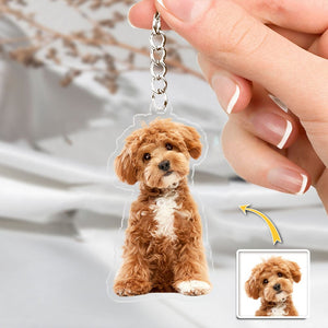 GeckoCustom Custom Photo For Dog Cat Lover Acrylic Keychain TH10 892309 60mmW x 40mmH