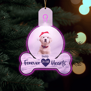 GeckoCustom Custom Photo Forever In My Heart Memorial Dog Led Acrylic Ornament HA75 891724 3 inches