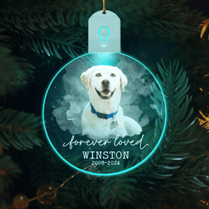 GeckoCustom Custom Photo Forever Love Dog Christmas Circle Led Acrylic Ornament HO82 893258 3 inches