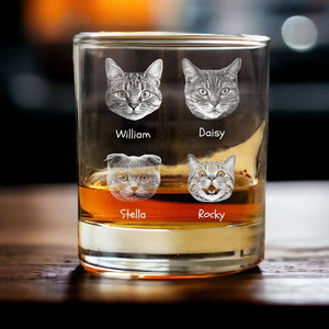 GeckoCustom Custom Photo From The Reasons You Drink For Cat Lover Rock Glass N304 890847