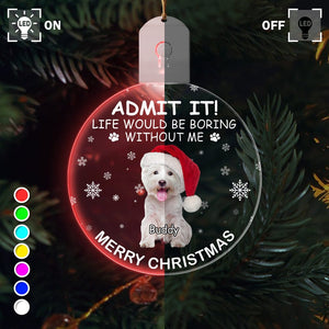 GeckoCustom Custom Photo Life Would Be Boring Without Me Dog Cat Circle Led Acrylic Ornament HO82 893218 3 inches