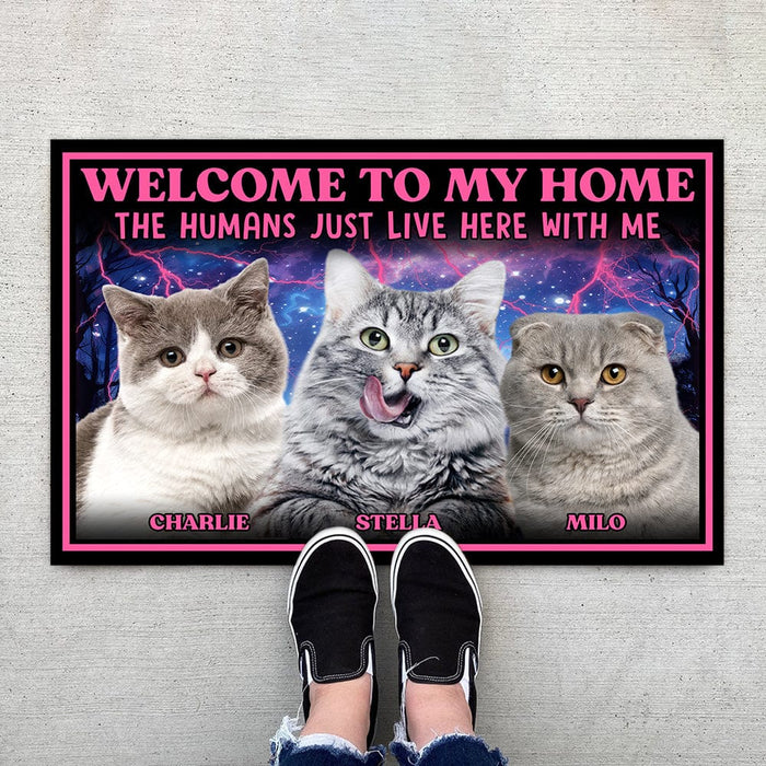GeckoCustom Custom Photo Welcome To My Home Cat Doormat DA199 890623
