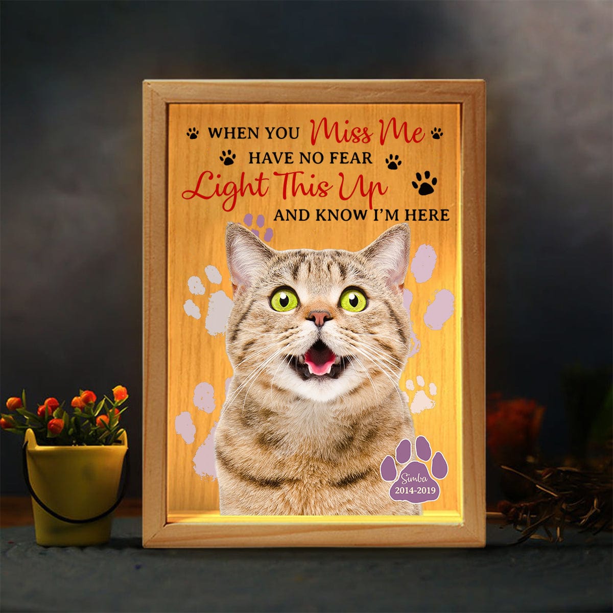 GeckoCustom Custom Photo When You Miss Me For Cat Lovers Light Box TA29 890056 5.91 x 8.27